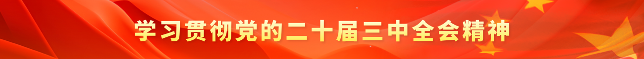 學習貫徹黨的二十屆三中全會精神